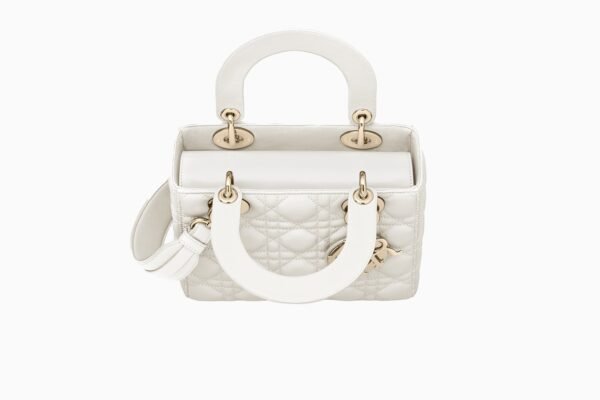 CD SMALL LADY BAG