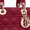 CD SMALL LADY BAG