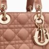 CD SMALL LADY BAG
