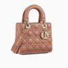 CD SMALL LADY BAG