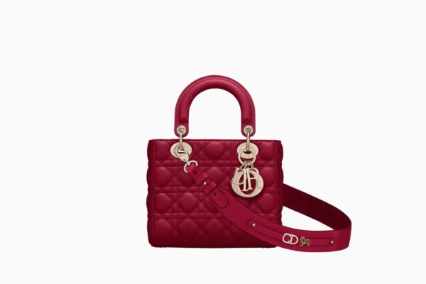 CD SMALL LADY BAG