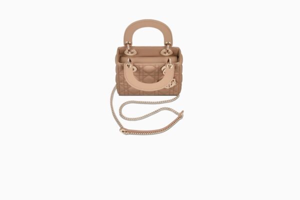 Mini Lady Dior Bag