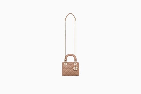 Mini Lady Dior Bag