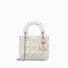 Mini Lady Dior Bag
