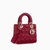 CD SMALL LADY BAG