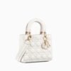 CD SMALL LADY BAG