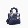CD SMALL LADY BAG
