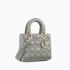 CD SMALL LADY BAG