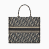 Large Dior Book Tote