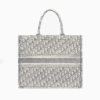 Large Dior Book Tote