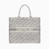 Large Dior Book Tote